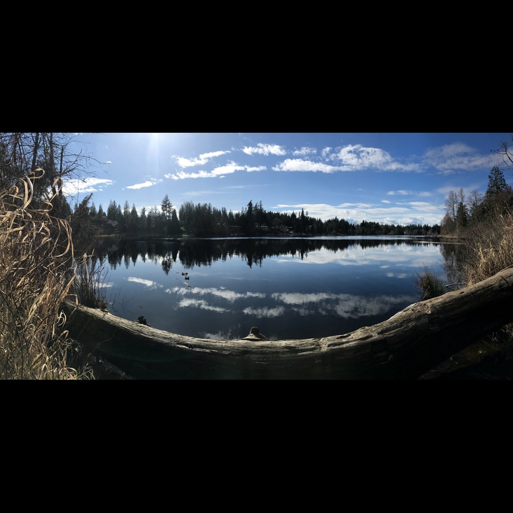 Meet your Posher, Ava